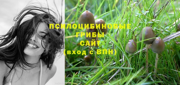 прущая мука Абинск