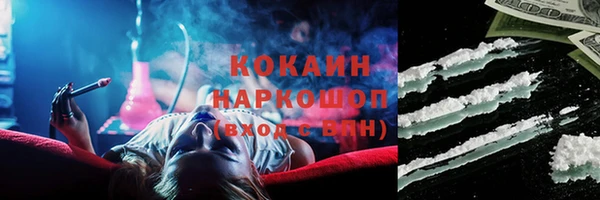 шишки Абаза