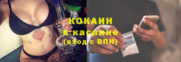 шишки Абаза