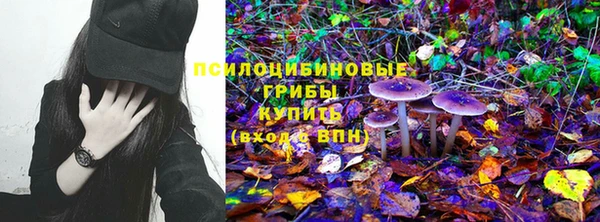 не бодяженный Протвино