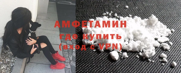шишки Абаза