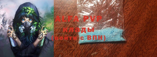 шишки Абаза