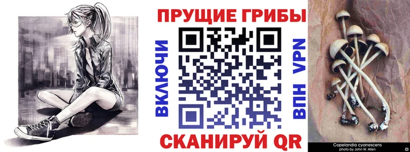Псилоцибиновые грибы мицелий  Урень 